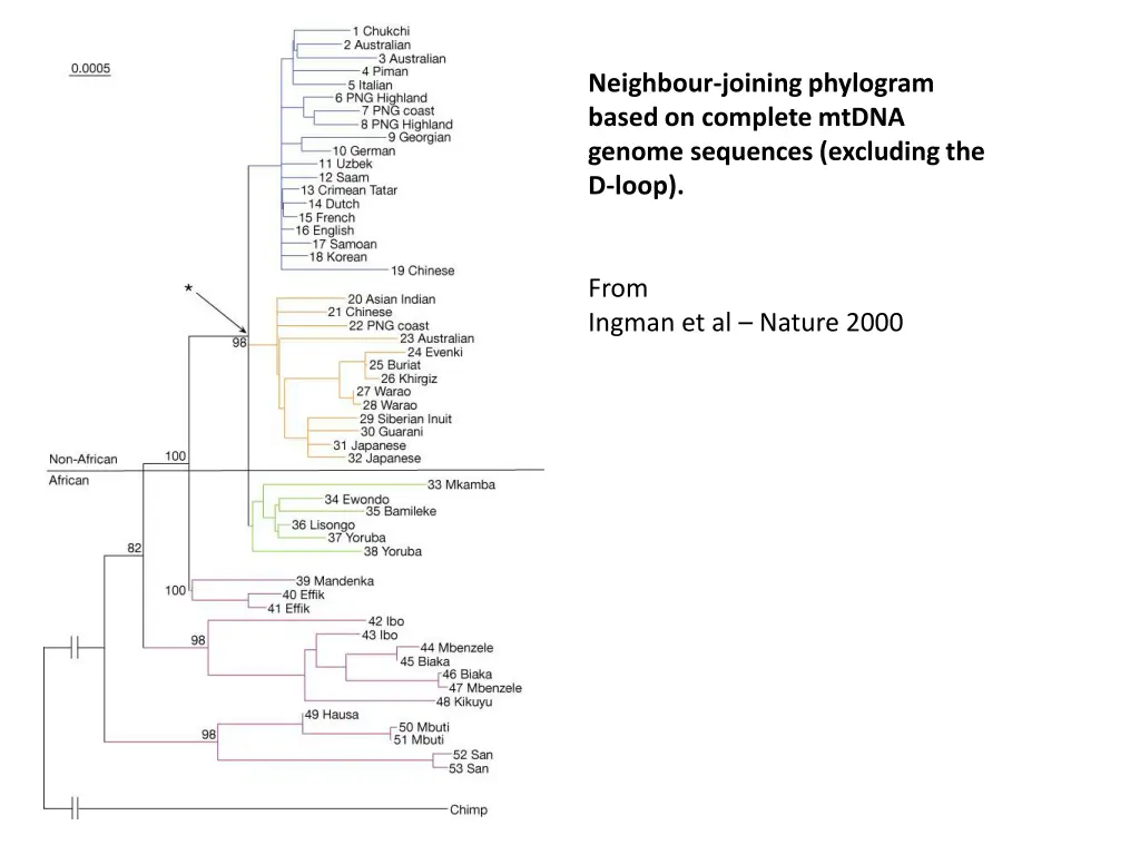 neighbour joining phylogram based on complete