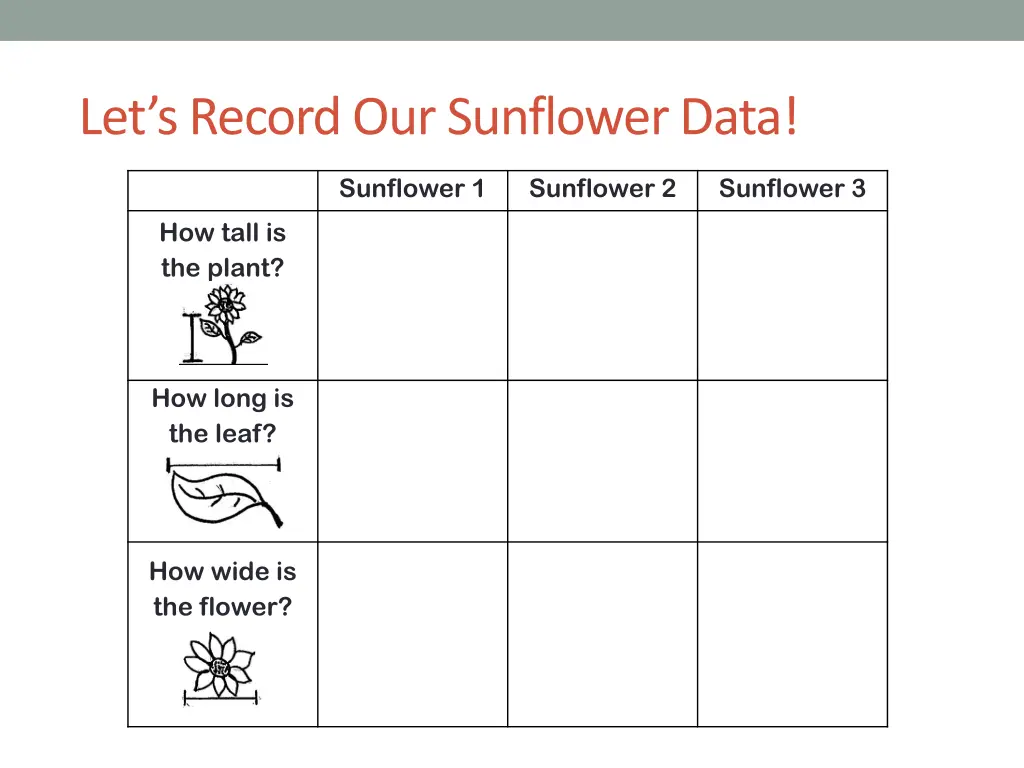 let s record our sunflower data