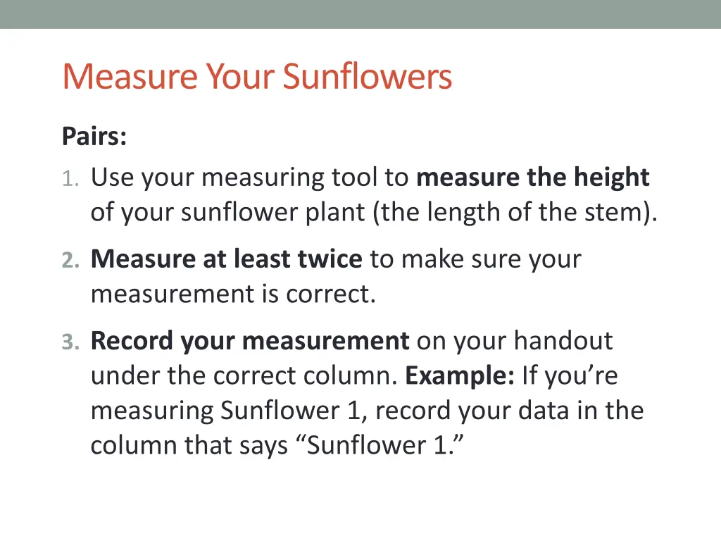 measure your sunflowers