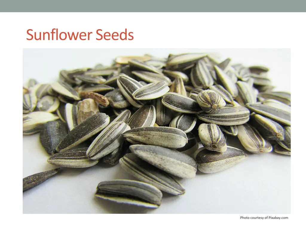 sunflower seeds