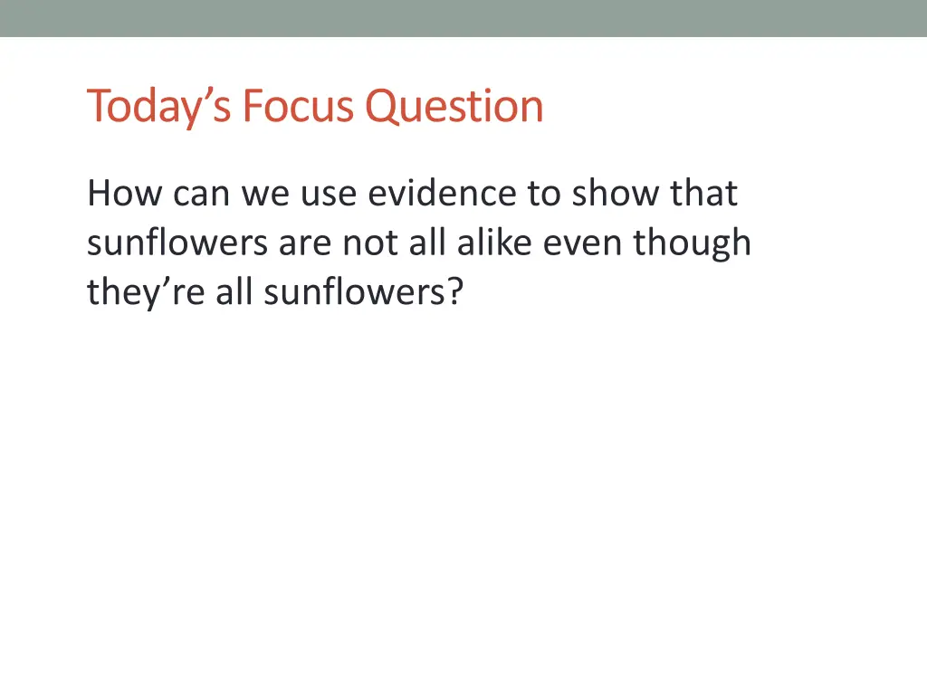 today s focus question