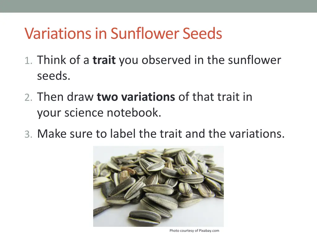 variations in sunflower seeds