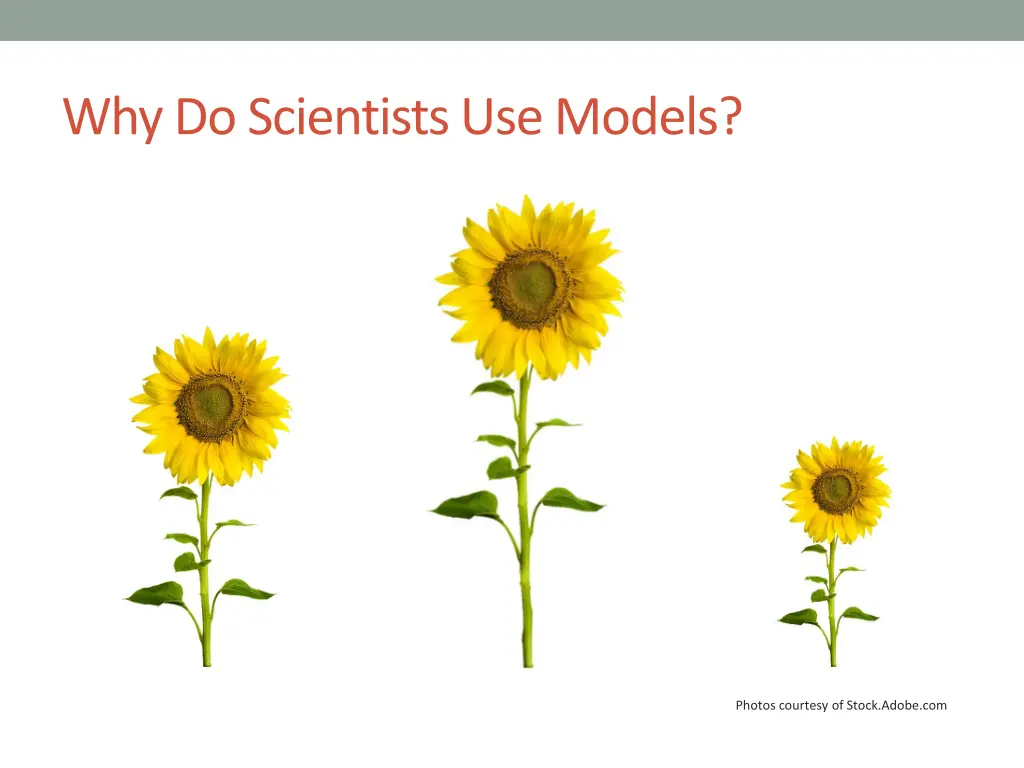 why do scientists use models