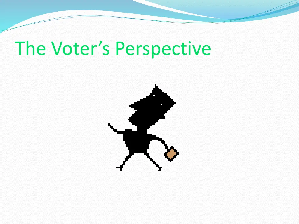 the voter s perspective 1