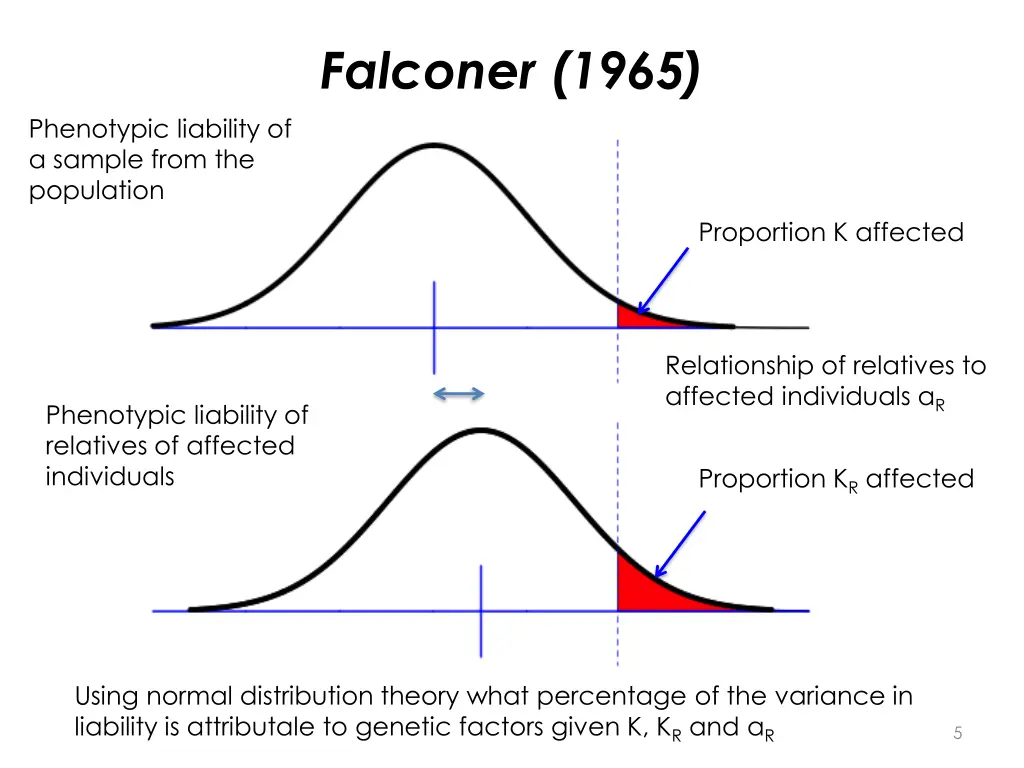 falconer 1965