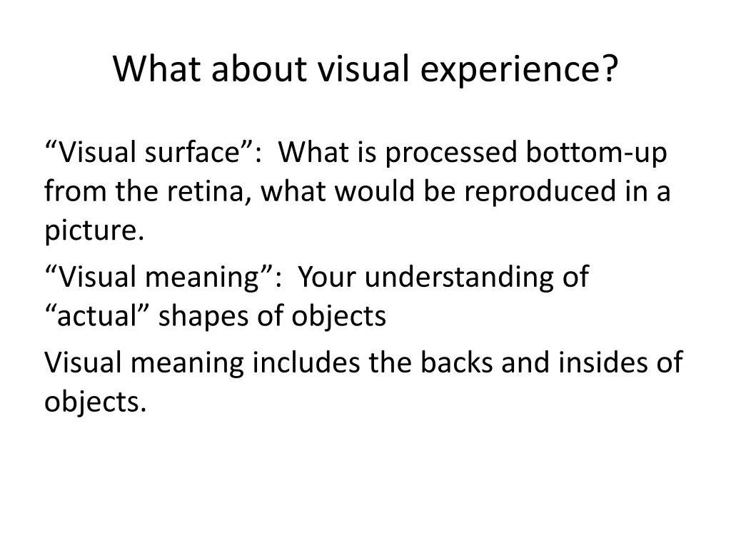 what about visual experience