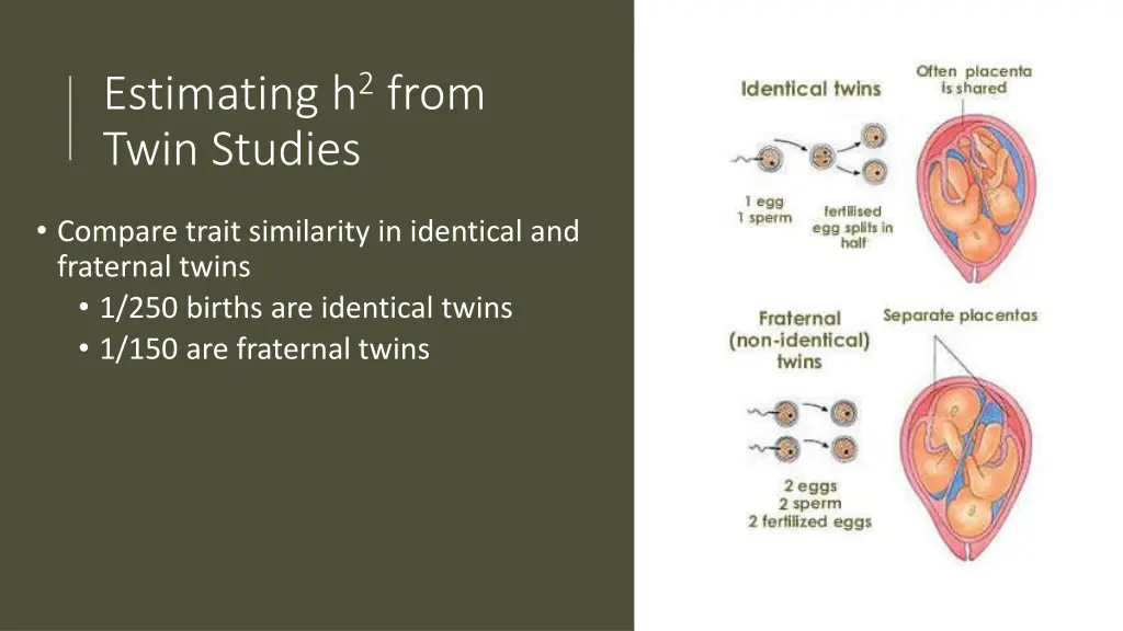 estimating h 2 from twin studies