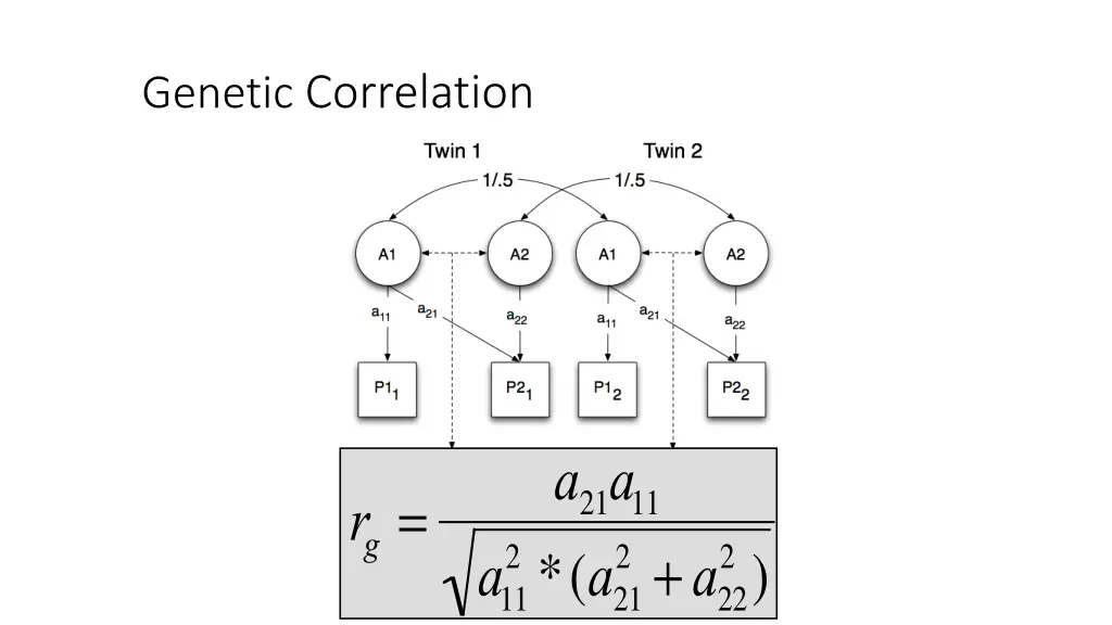 genetic correlation