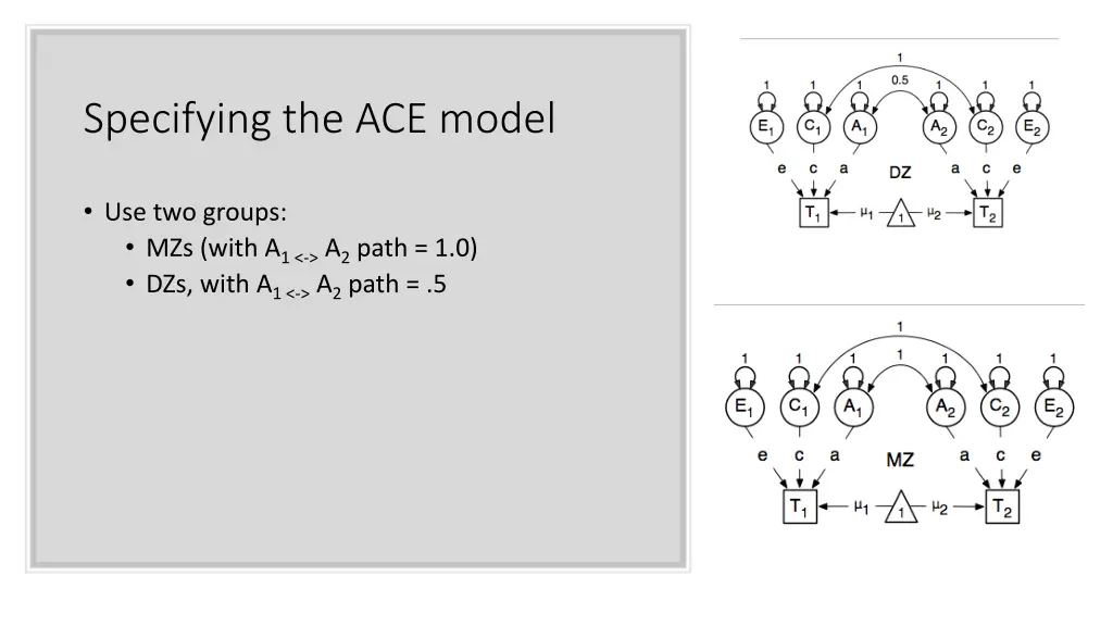 specifying the ace model