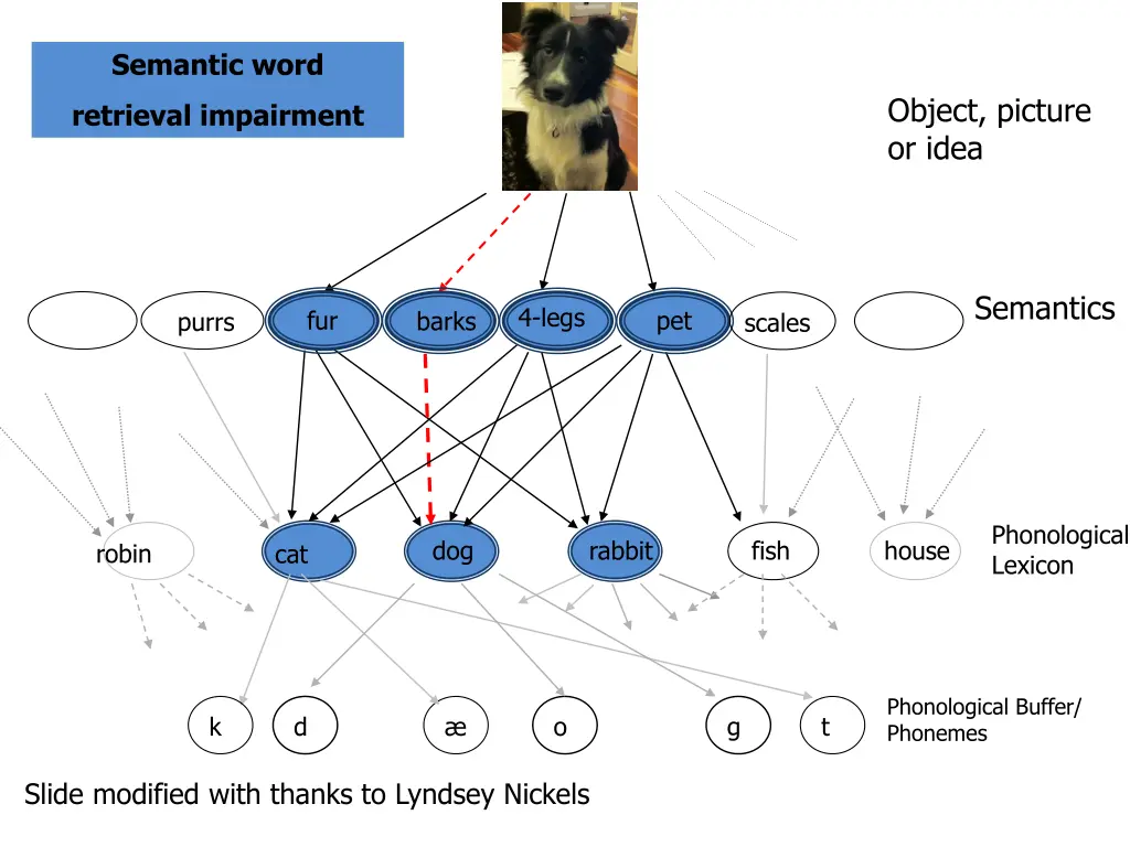 semantic word