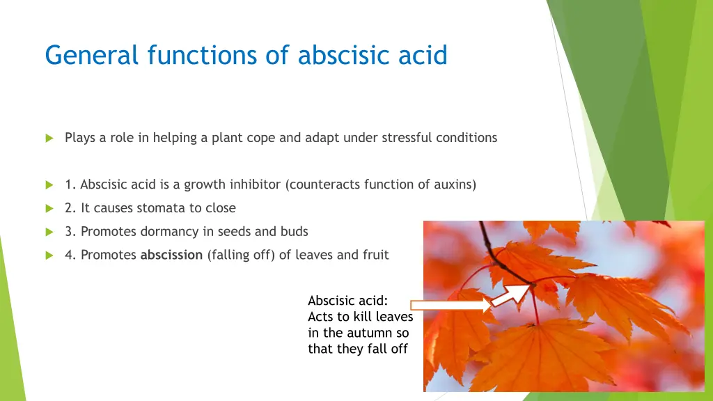 general functions of abscisic acid