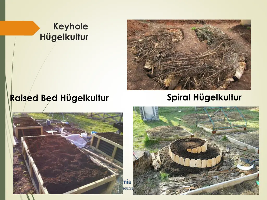 keyhole h gelkultur