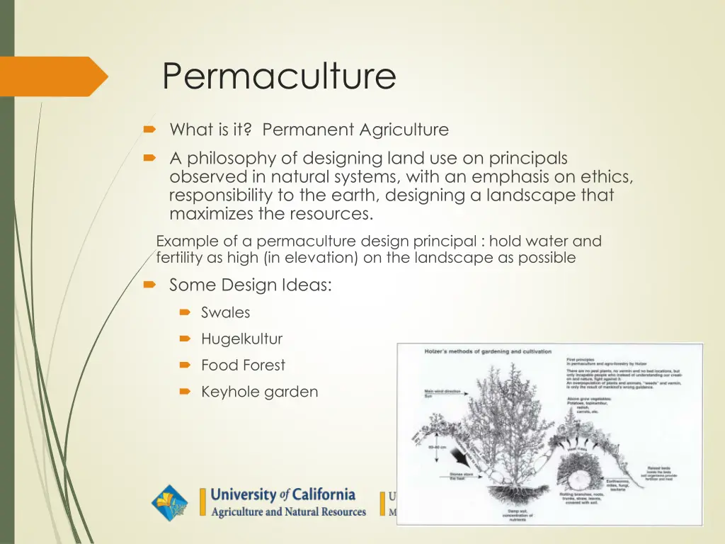 permaculture