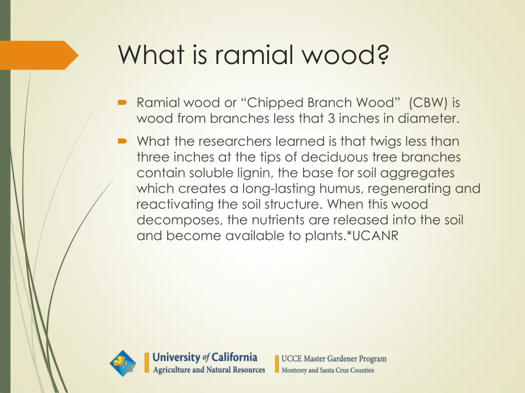 what is ramial wood