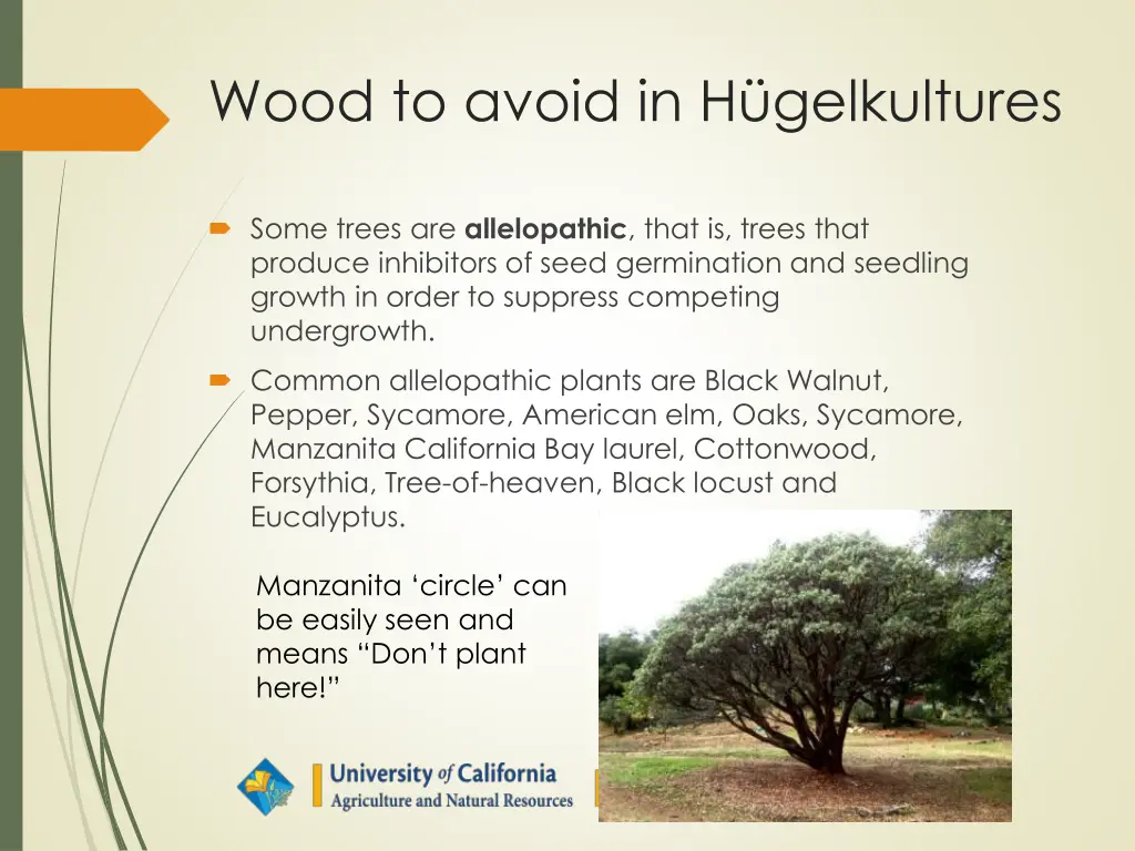 wood to avoid in h gelkultures