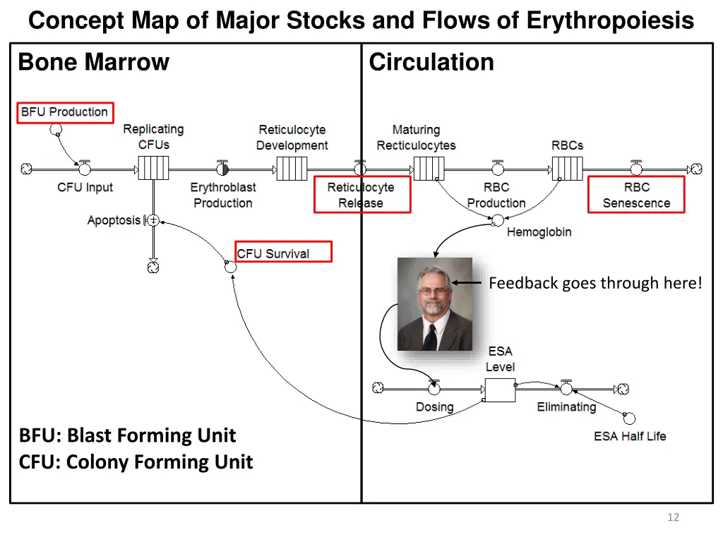 concept map of major stocks and flows