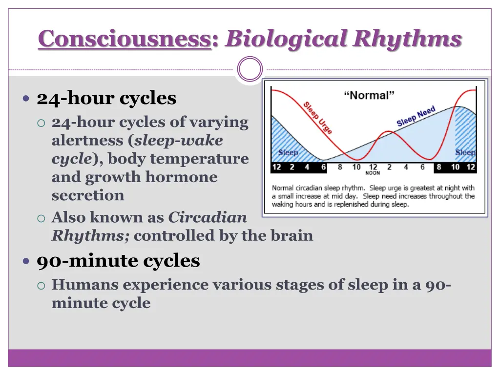 consciousness biological rhythms 2