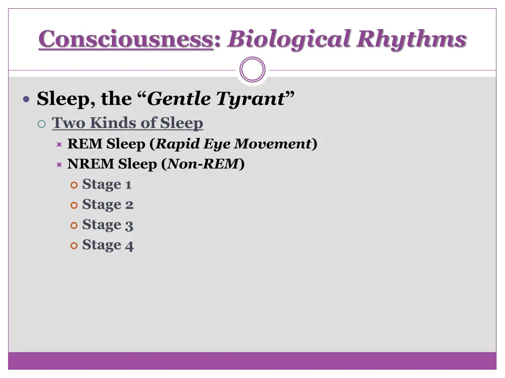 consciousness biological rhythms 4