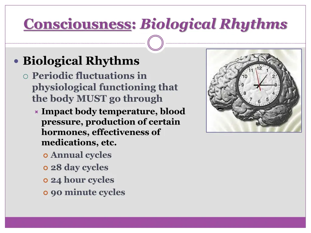 consciousness biological rhythms