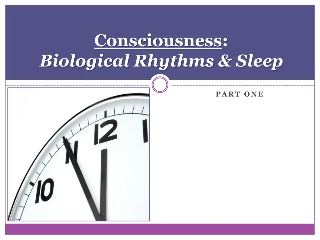 consciousness biological rhythms sleep