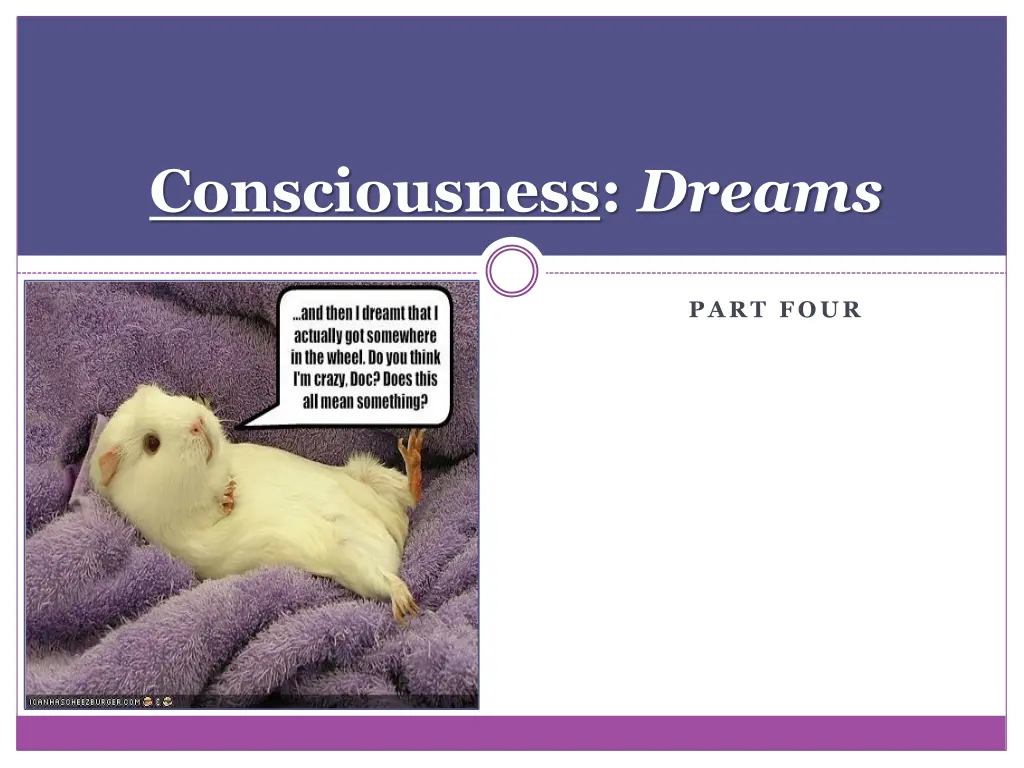 consciousness dreams