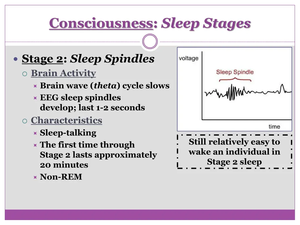 consciousness sleep stages 1