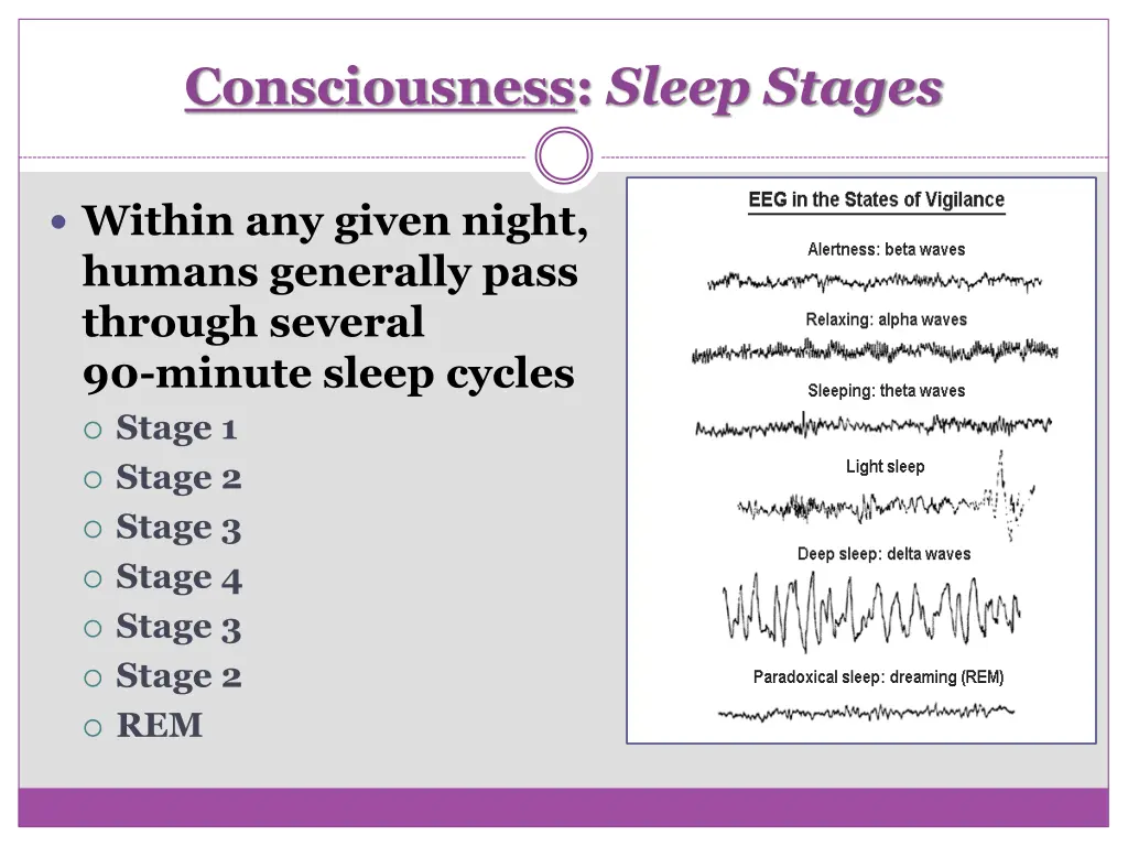 consciousness sleep stages 4