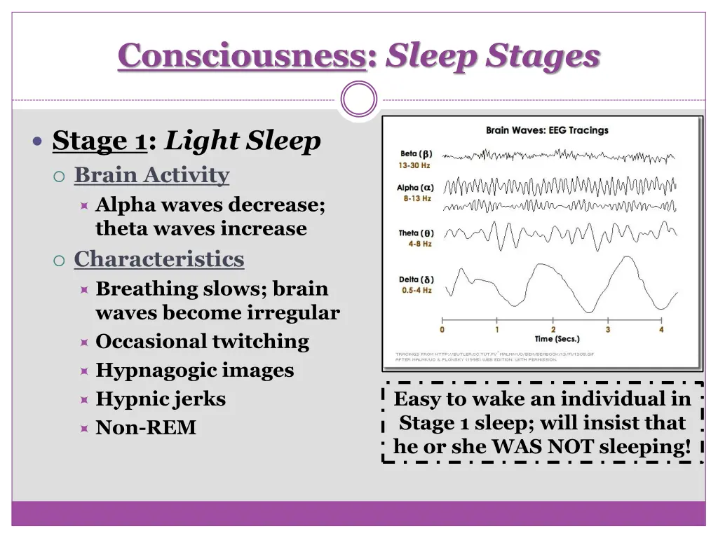 consciousness sleep stages