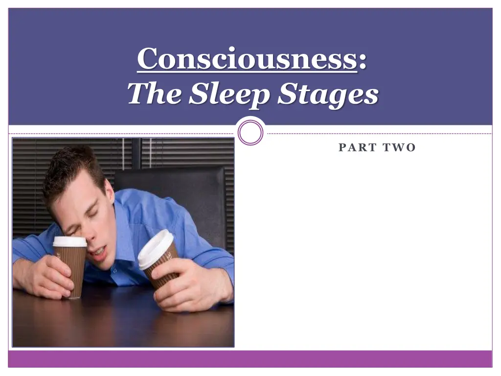 consciousness the sleep stages