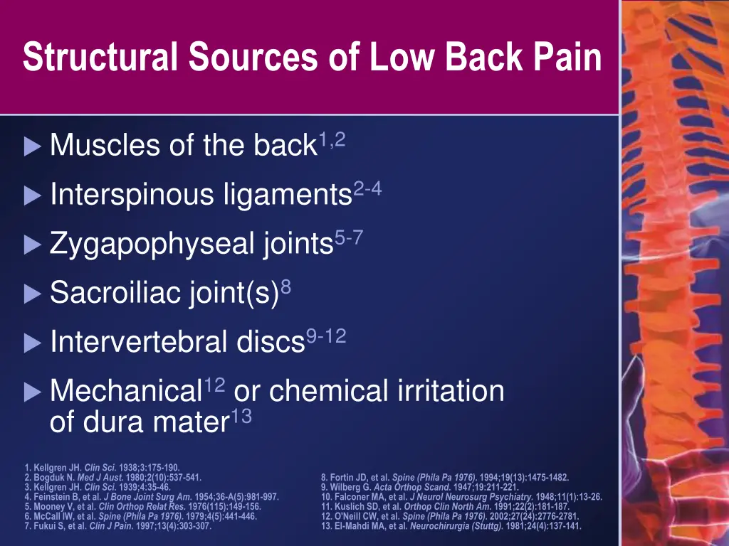 structural sources of low back pain