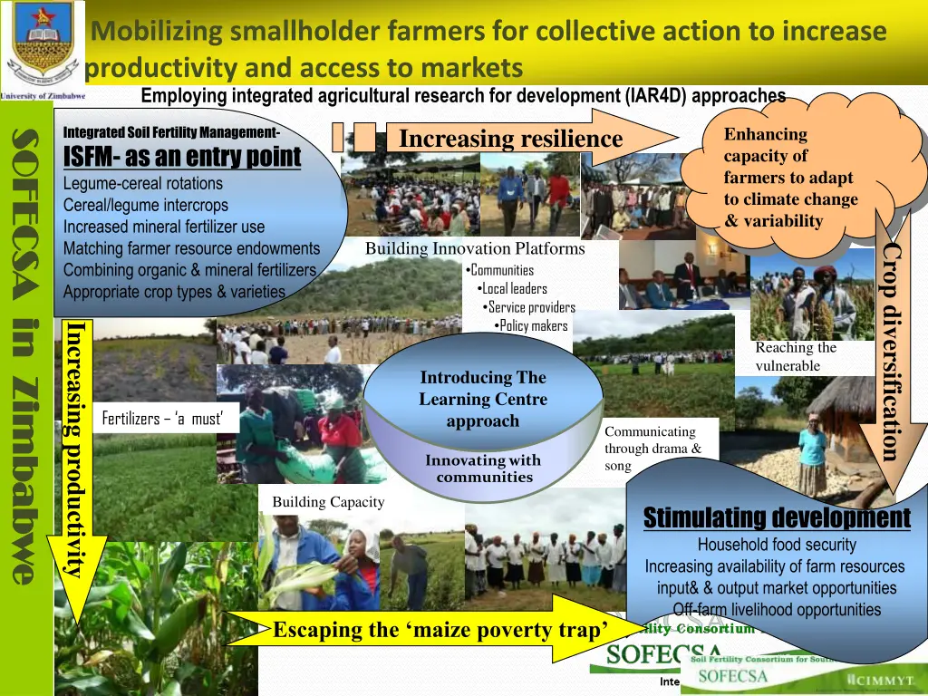 mobilizing smallholder farmers for collective