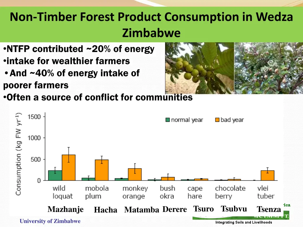 non timber forest product consumption in wedza