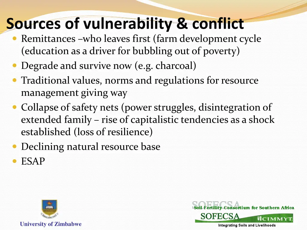 sources of vulnerability conflict remittances