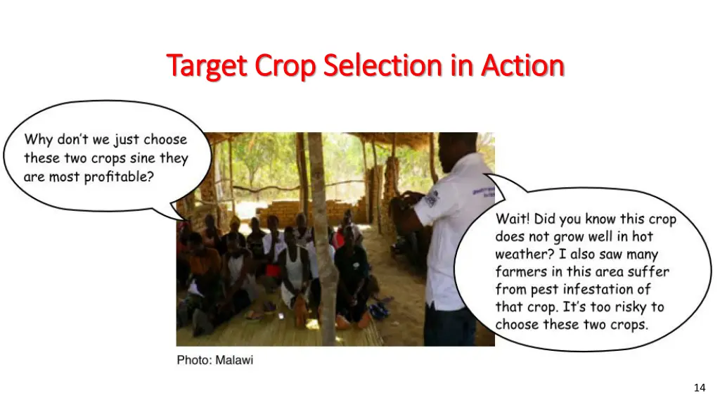 target crop selection in action target crop