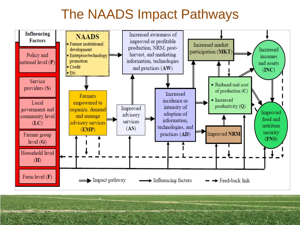 the naads impact pathways