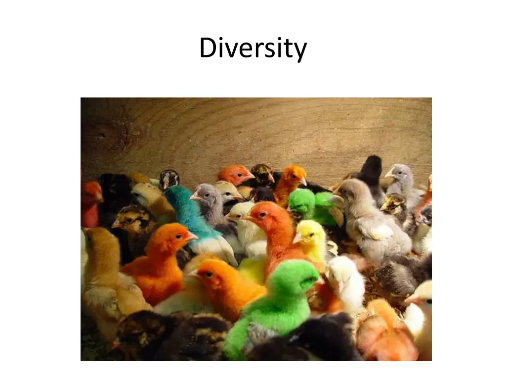 diversity