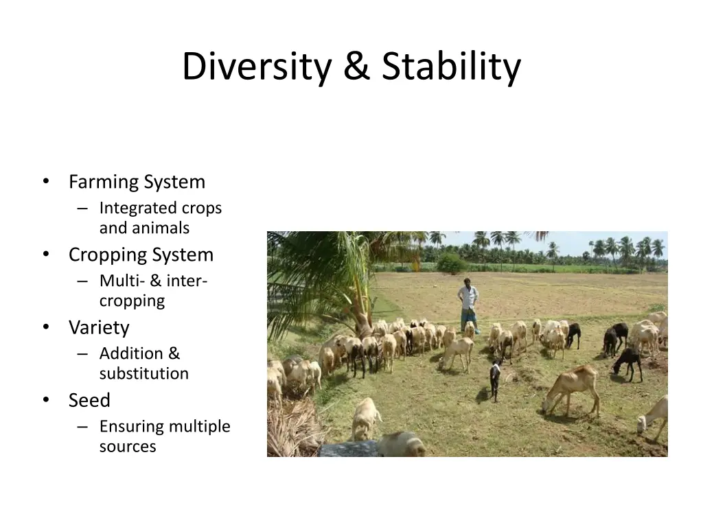 diversity stability