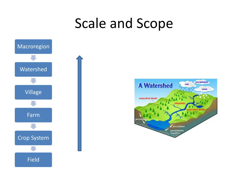 scale and scope