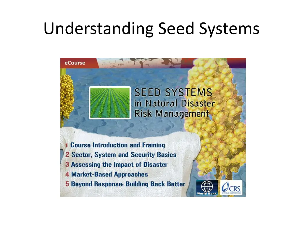 understanding seed systems