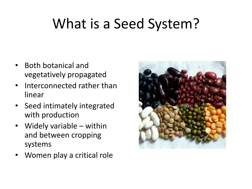 what is a seed system