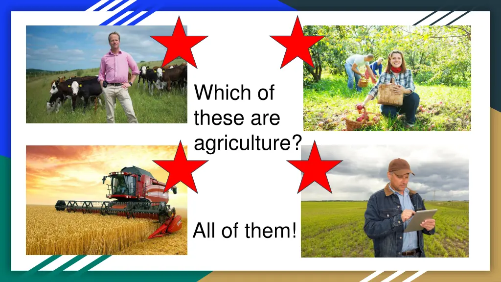 which of these are agriculture