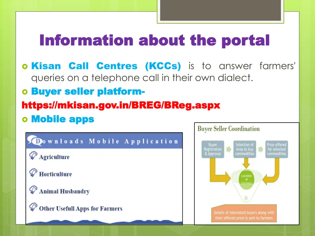 information about the portal information about 1