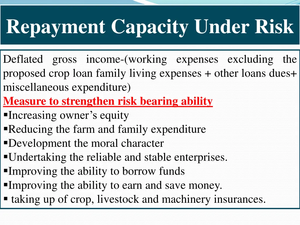 repayment capacity under risk