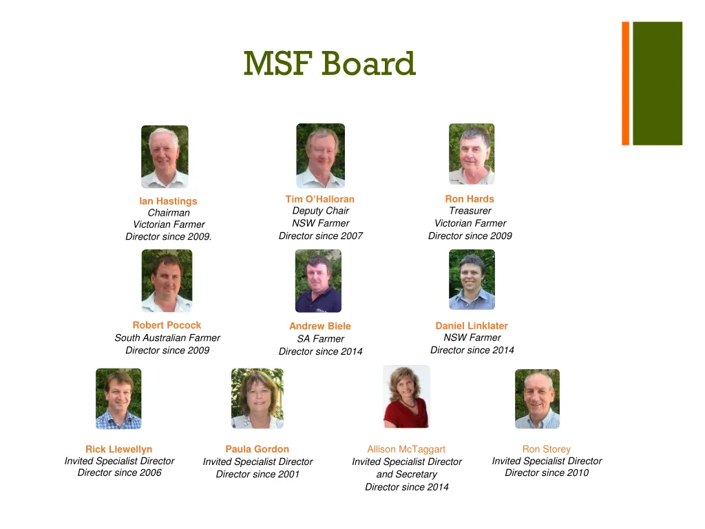 msf board