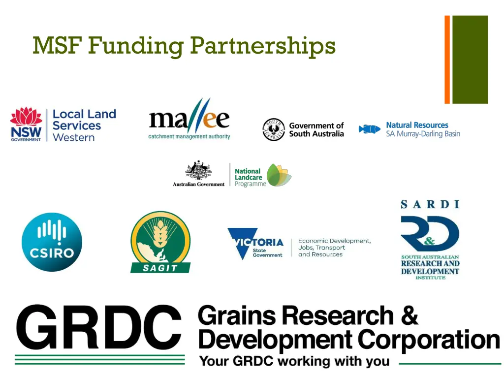 msf funding partnerships