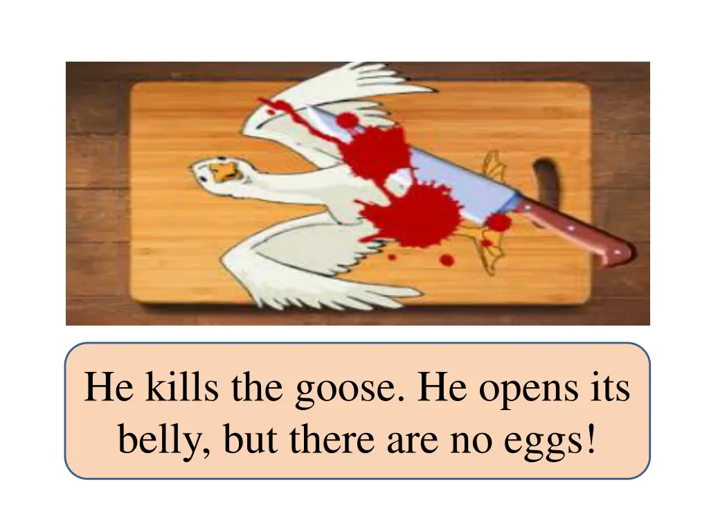 he kills the goose he opens its belly but there