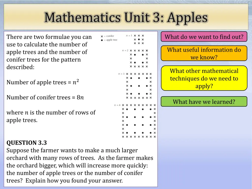 mathematics unit 3 apples 10