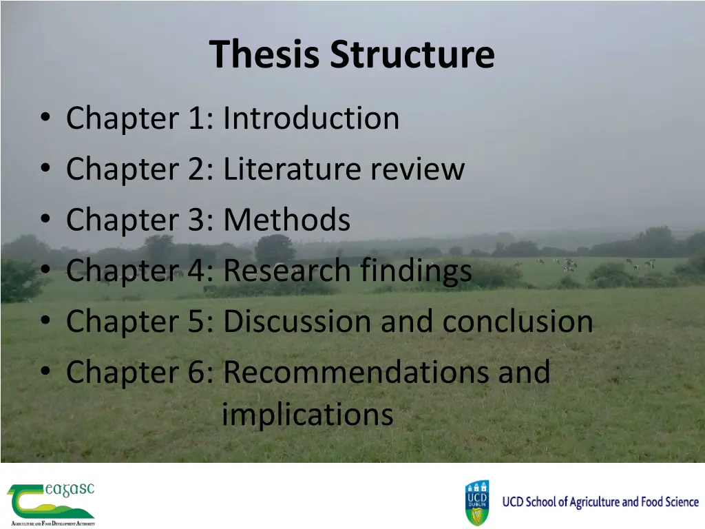 thesis structure