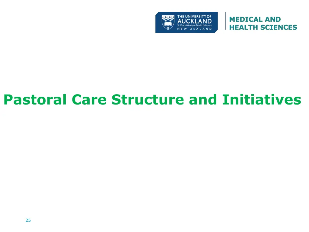 pastoral care structure and initiatives