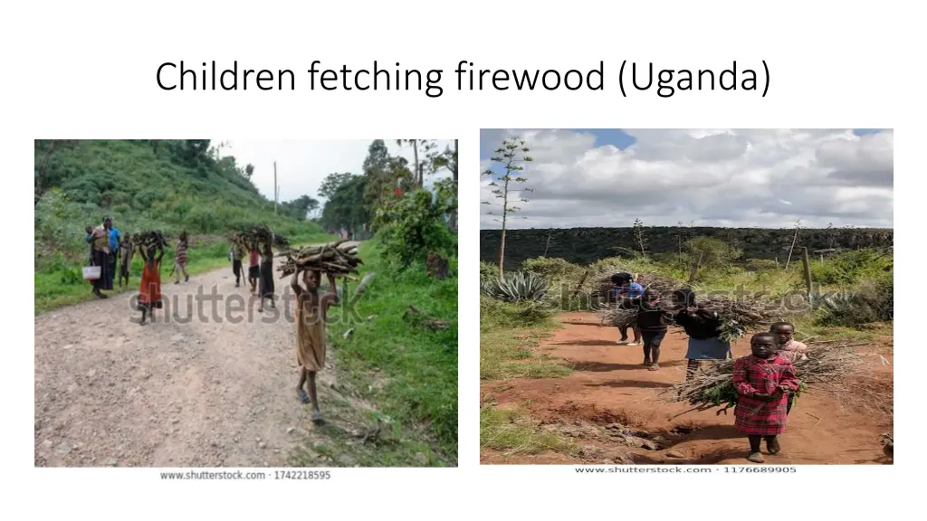 children fetching firewood uganda